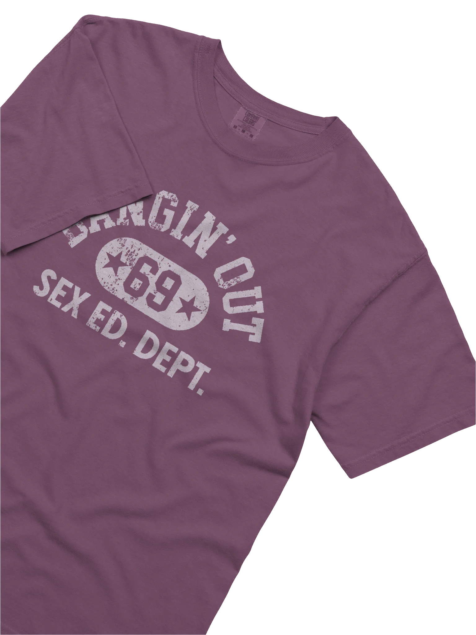 Sex Ed Dept. T-Shirt - Berry product image (5)