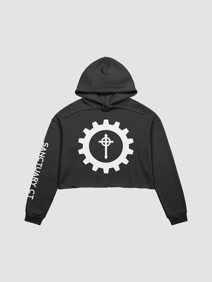 SANCTUARY CT CROPPED HOODIE product image (1)
