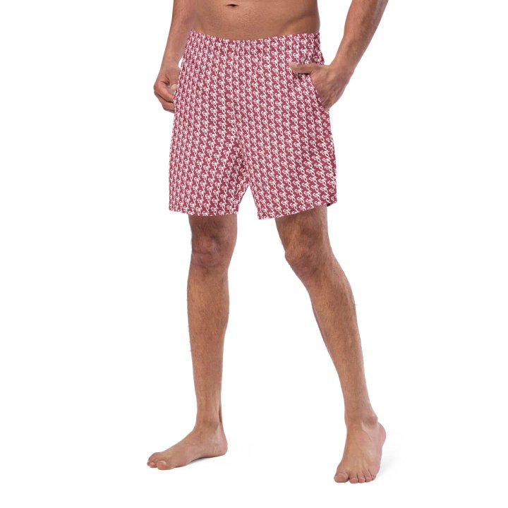 Syn-Stripe Trunks Red/White product image (1)
