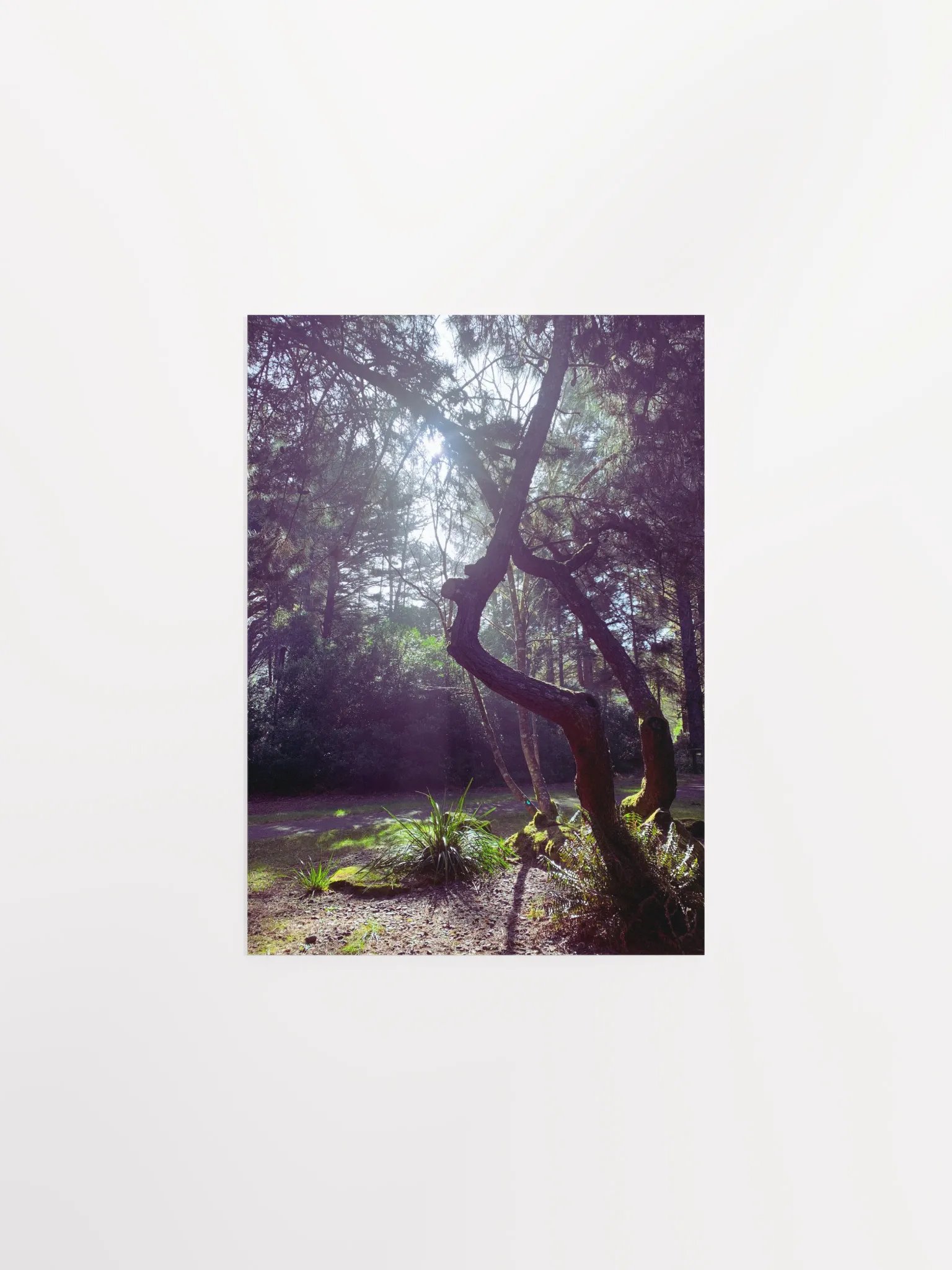 Soulmates product image (6)