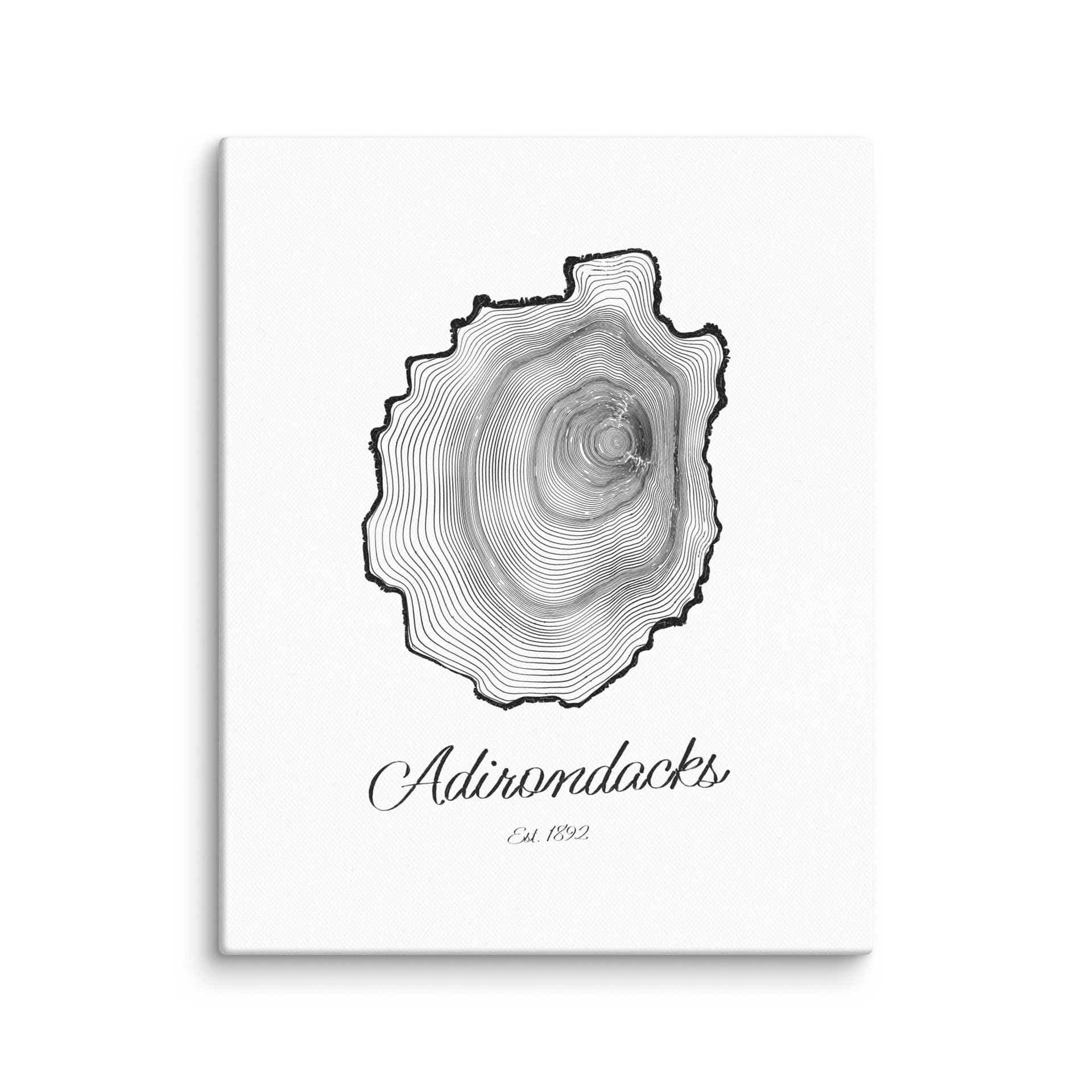 Adirondack Park Tree Ring Canvas Print product image (1)