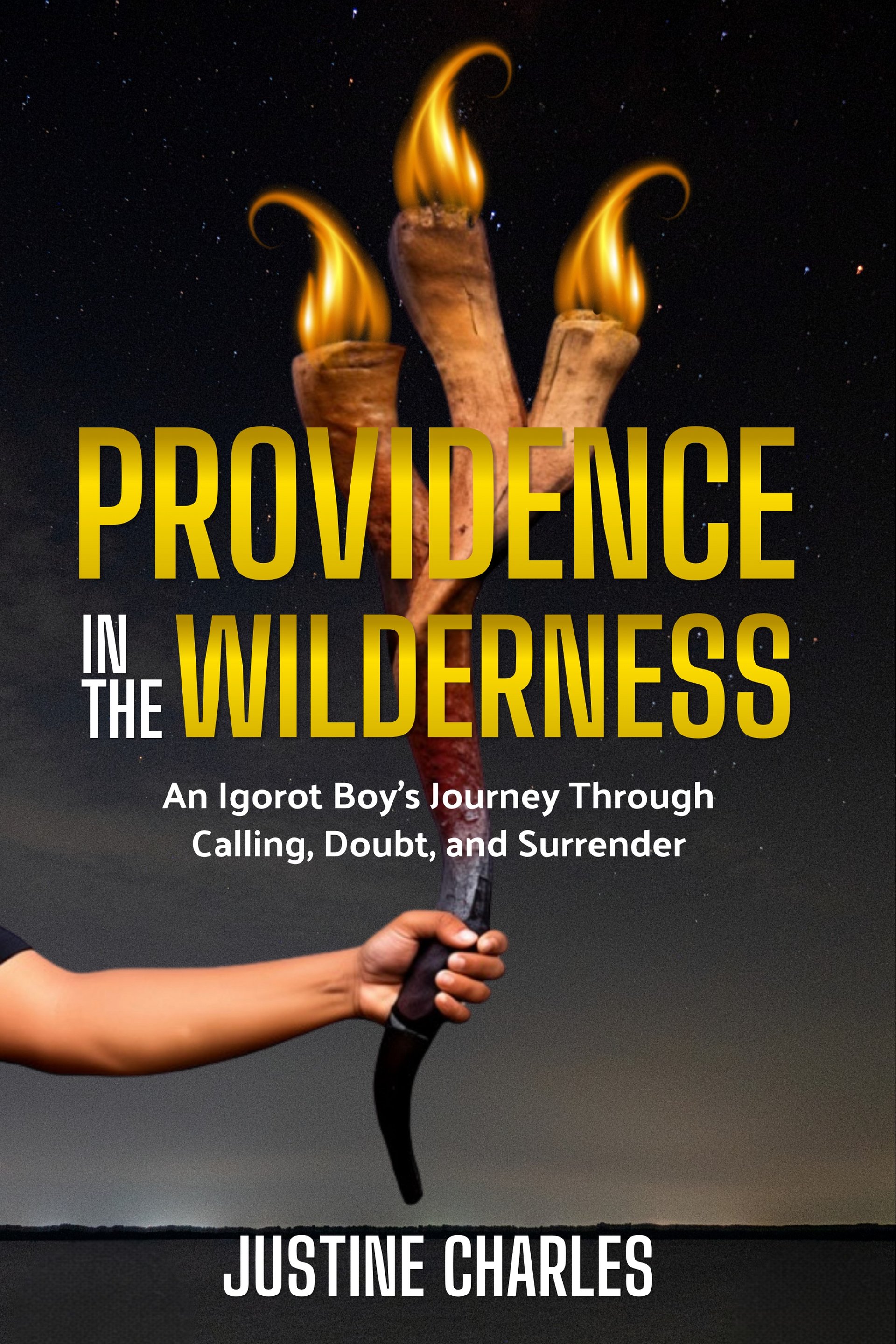 Providence in the Wilderness - E-Book product image (1)