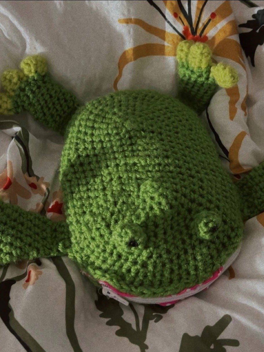 Zippered Frog Pouch product image (1)