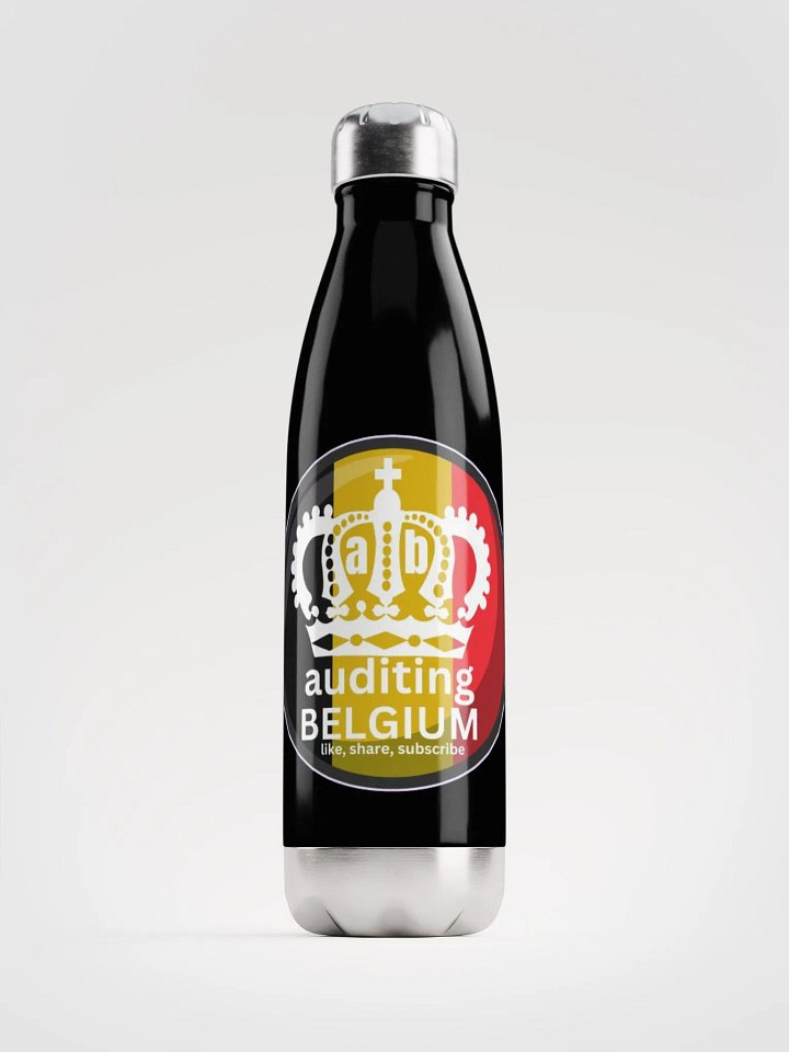 AUDITING BELGIUM product image (1)