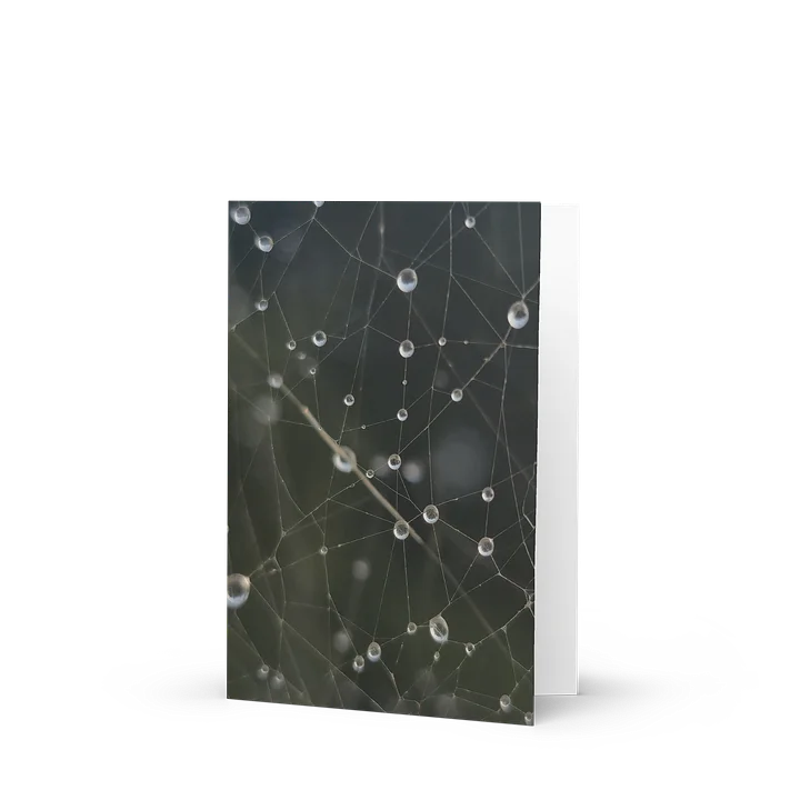 Spiderweb Raindrops Greeting Card product image (1)