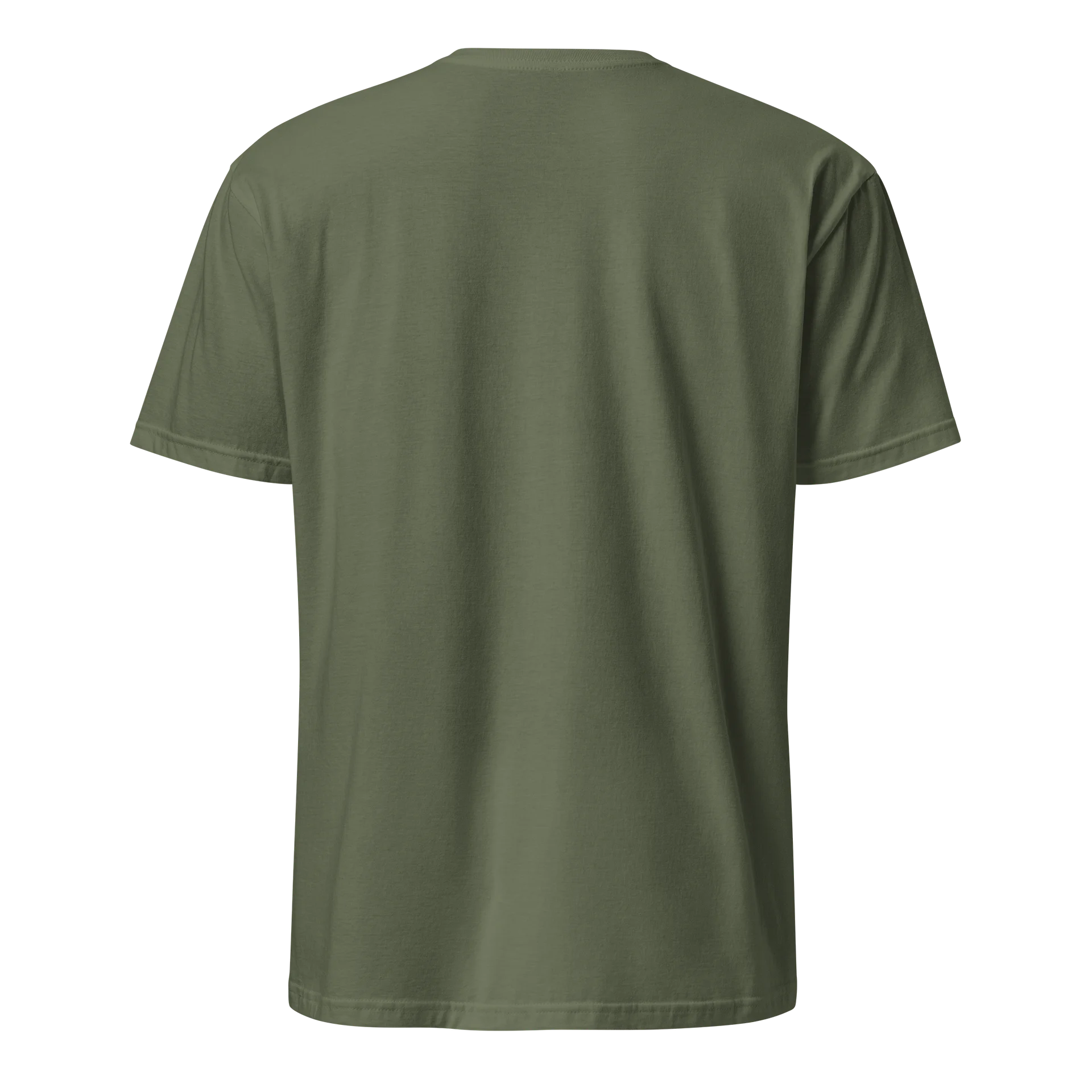 paro embroidered shirt product image (2)