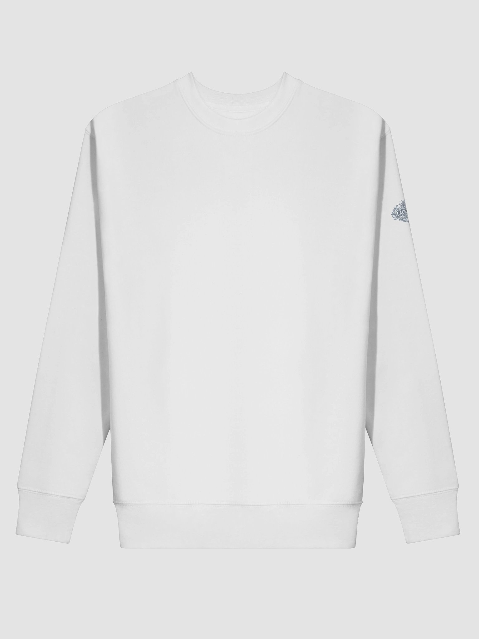 Intense Cotton Sweatshirt With Centered Tech product image (58)