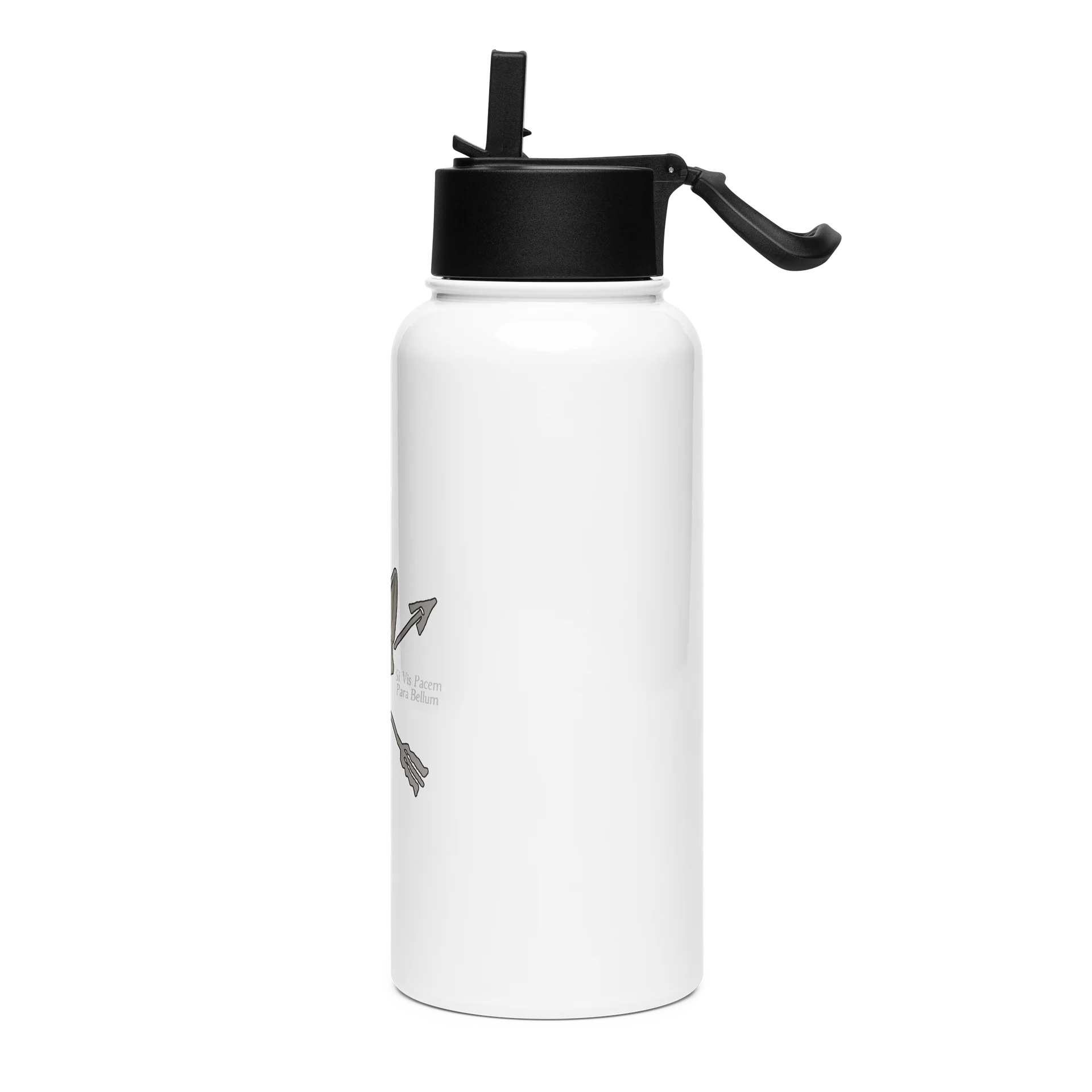 Stainless Steel Water Bottle with a Straw Lid product image (3)