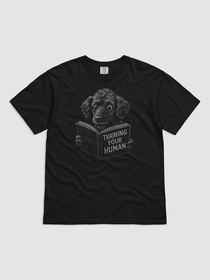 poodle cheat codes product image (1)