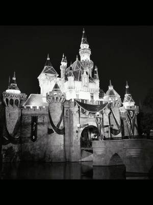 Happy 71st Anniversary Disneyland! #disneyland #happiestplaceonearth #juniepat #ticklecrew #twitchtv 