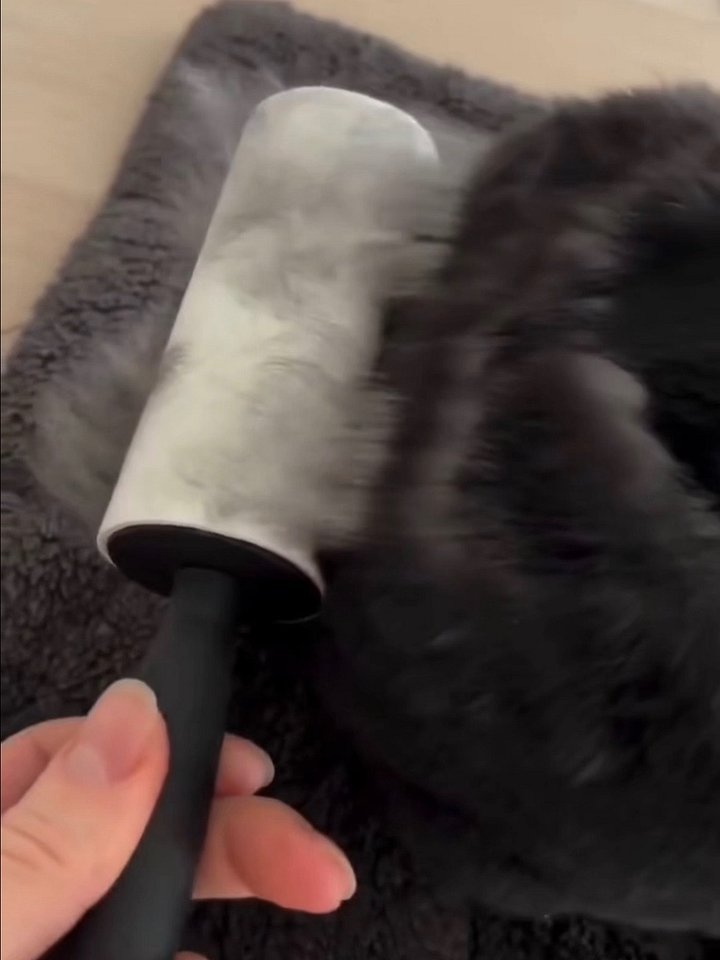 Pet Hair Lint Rollers (pack of 5) product image (2)