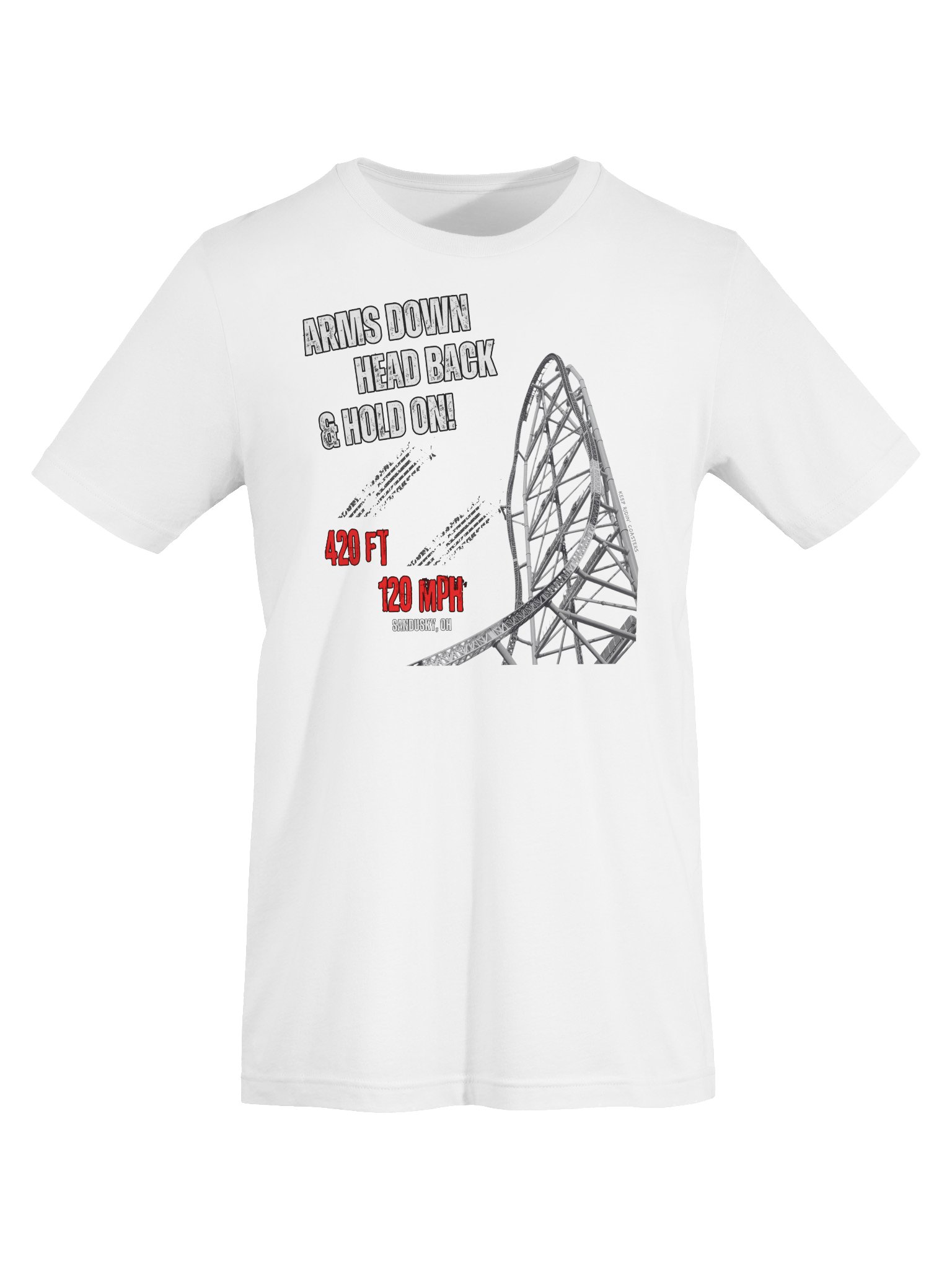 Arms Down, Head Back & Hold On - 420/120 Tee product image (31)