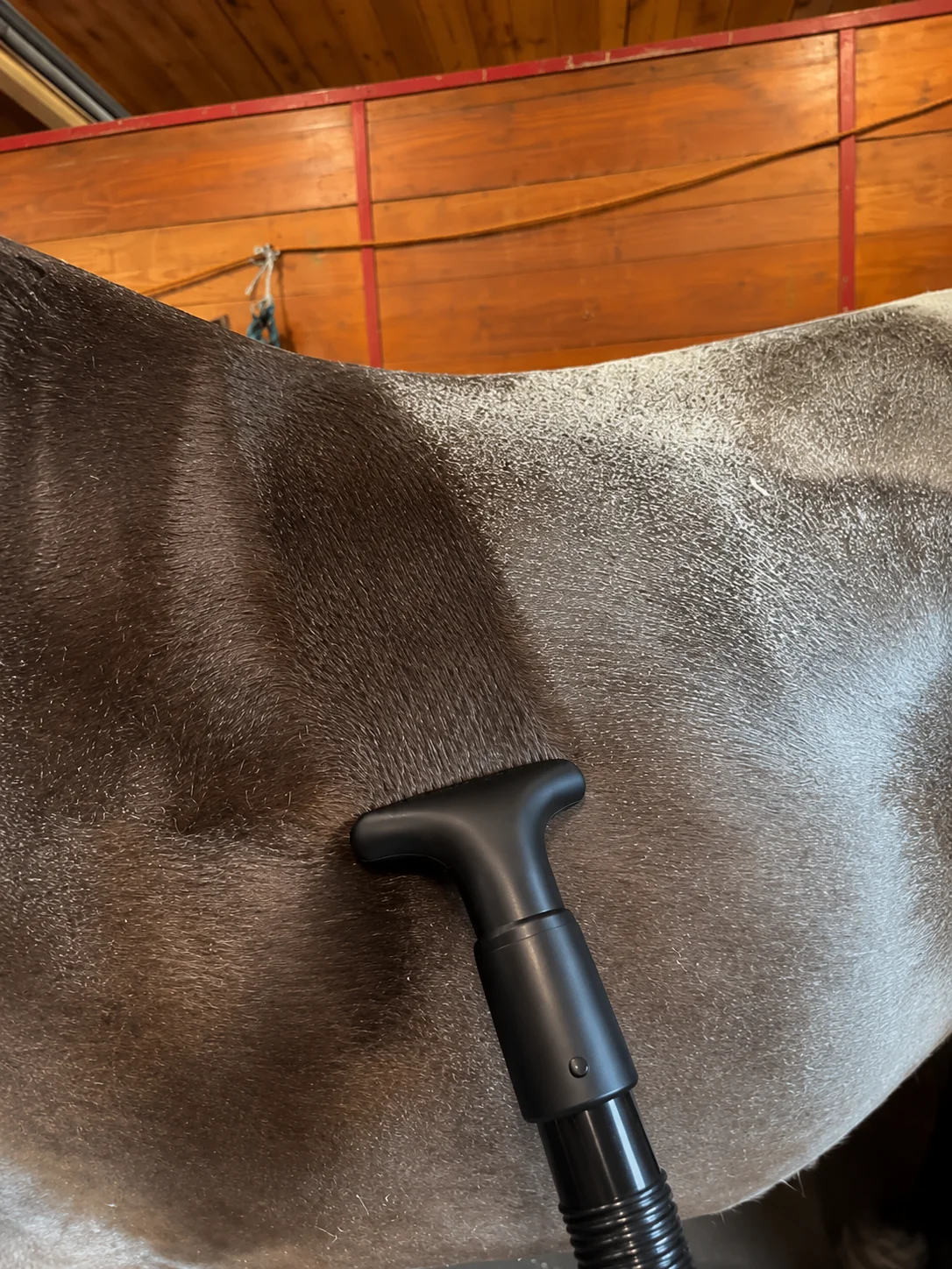 Large Animal Vacuum product image (2)