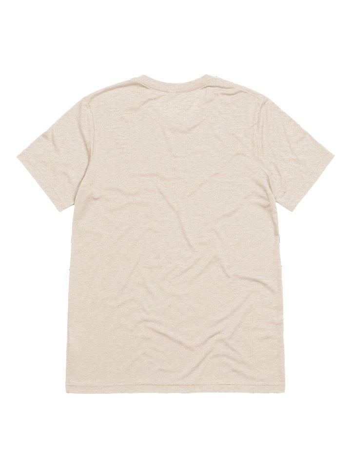 Indecipherable Triblend Tee product image (2)