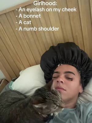 #catsoftiktok 