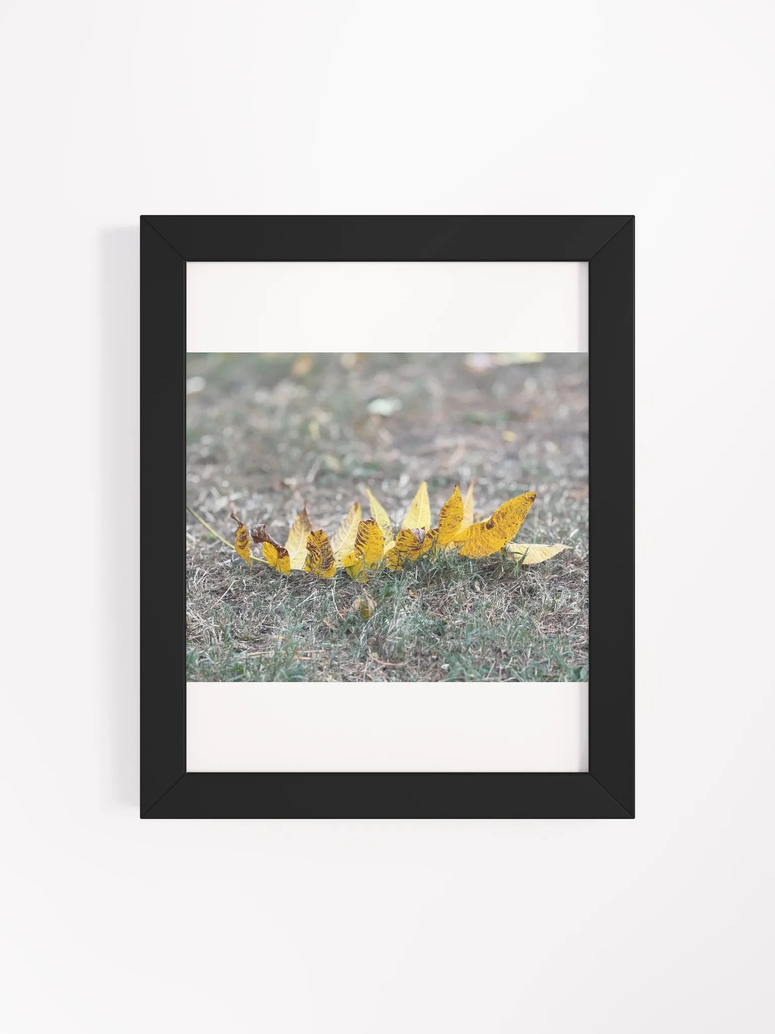 Harbinger of Fall print product image (36)