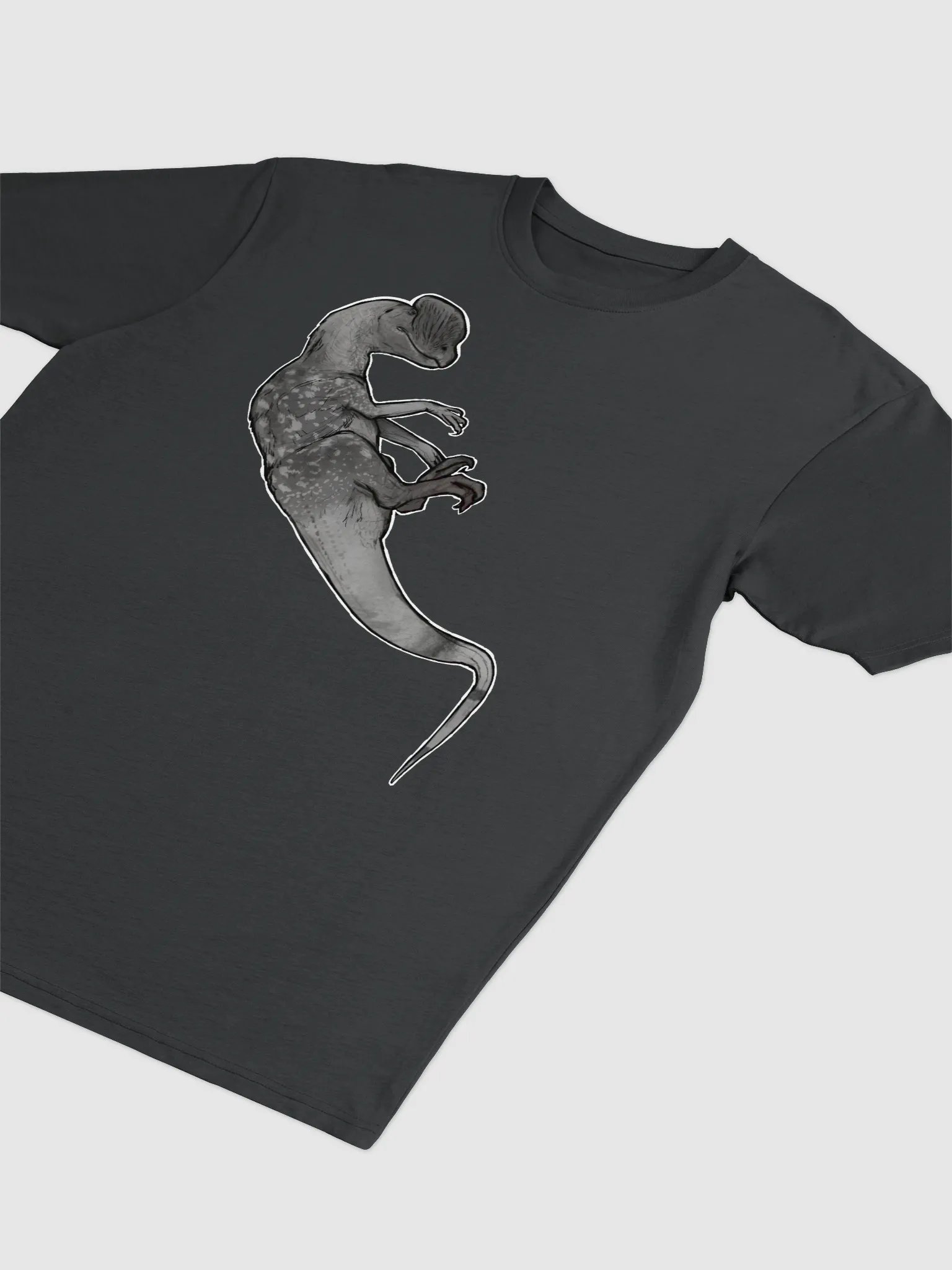 Dilo shirt product image (3)
