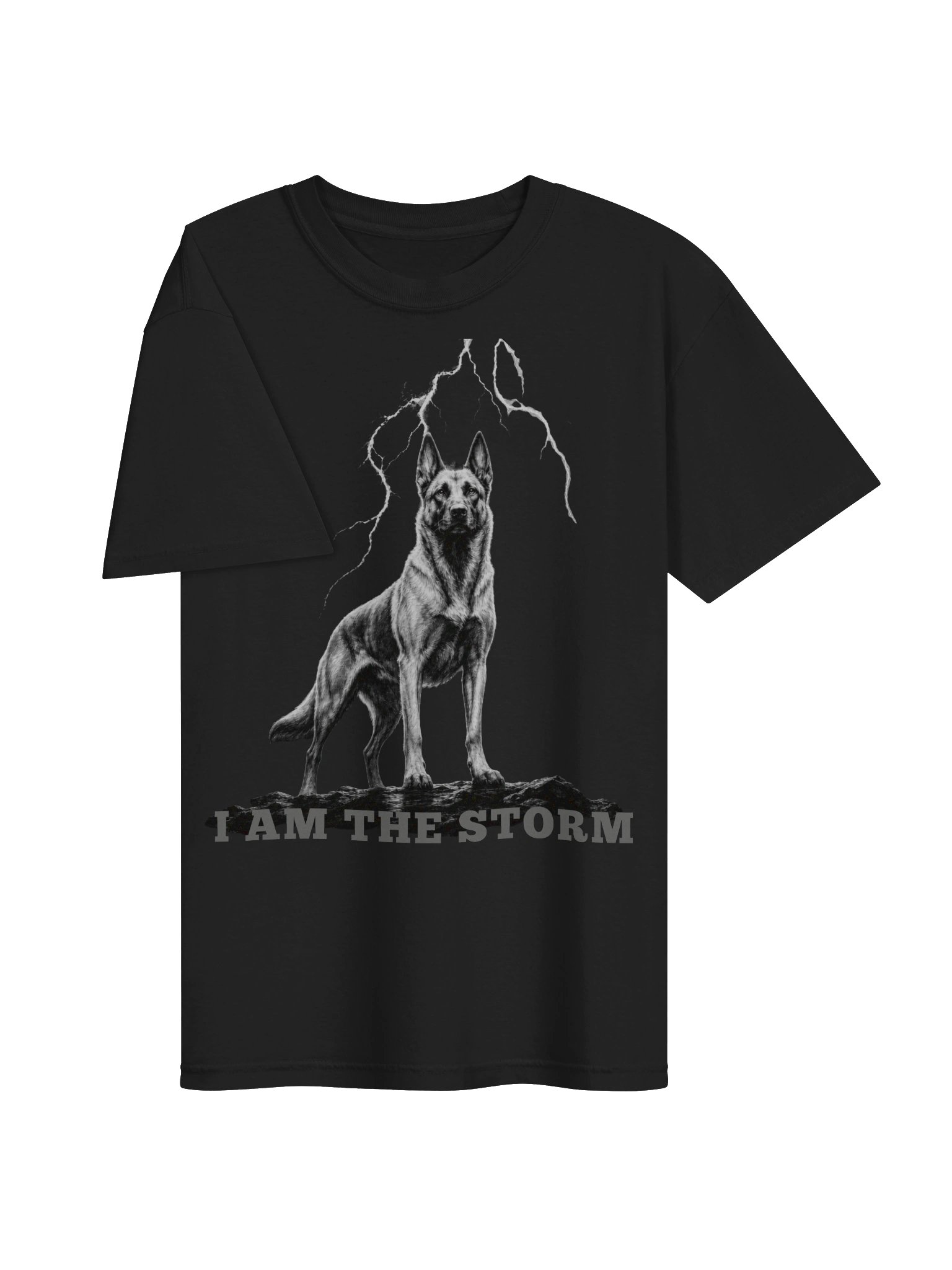 I AM THE STORM product image (8)