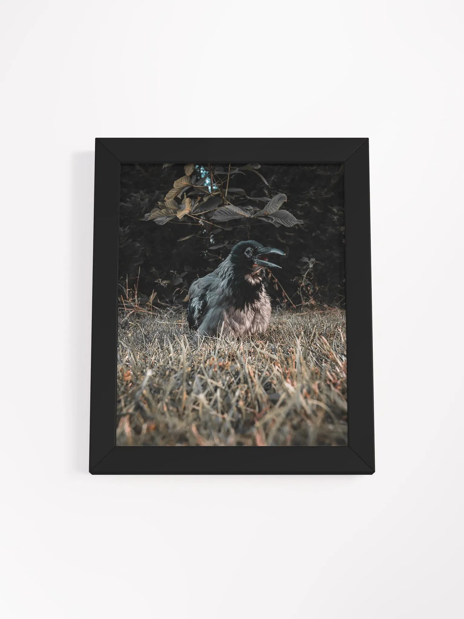 Hafez's Last Sunbeam product image (1)