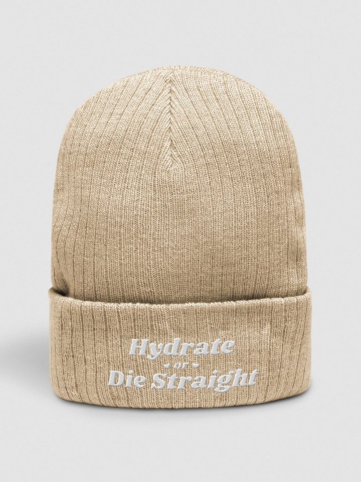 Hydrate Ribbed Beanie product image (1)
