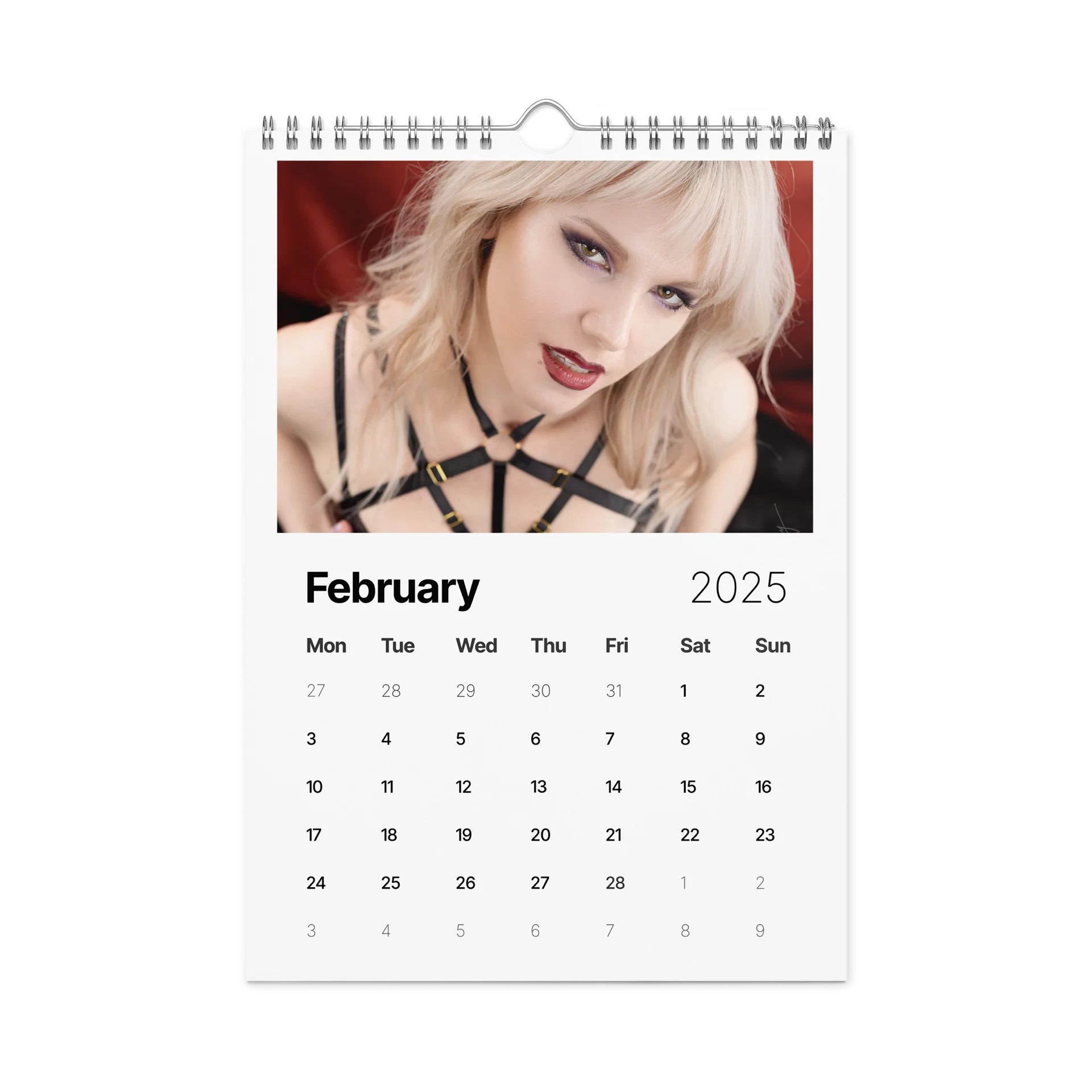 2025 Hiss Calendar product image (5)
