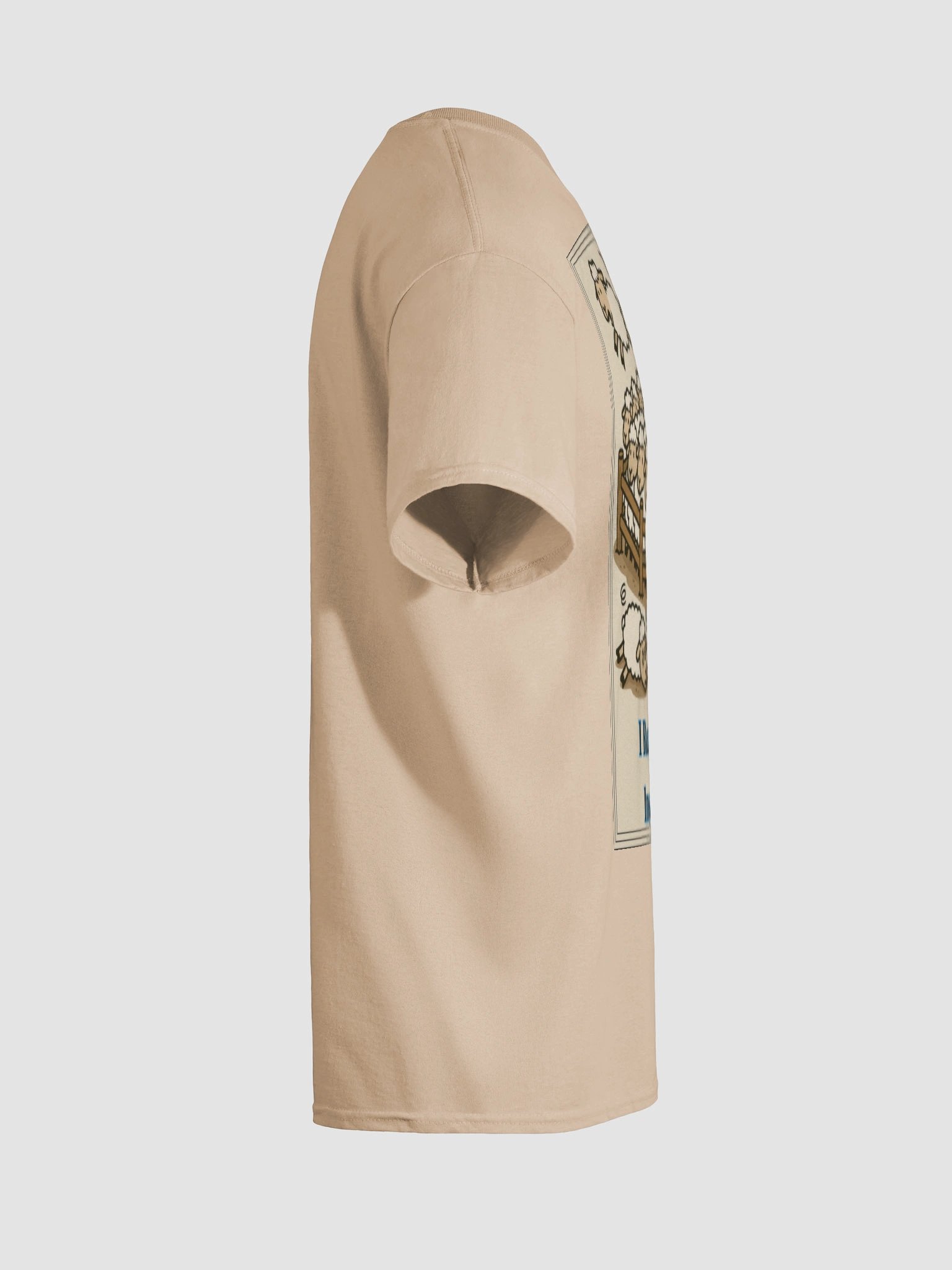 I Really Hate Insomnia (Both) Gildan Heavyweight T-Shirt Colors (3) product image (125)