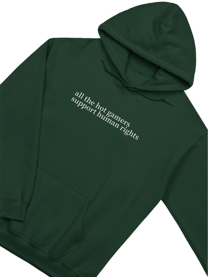 Hot Gamers Support Human Rights Hoodie product image (6)