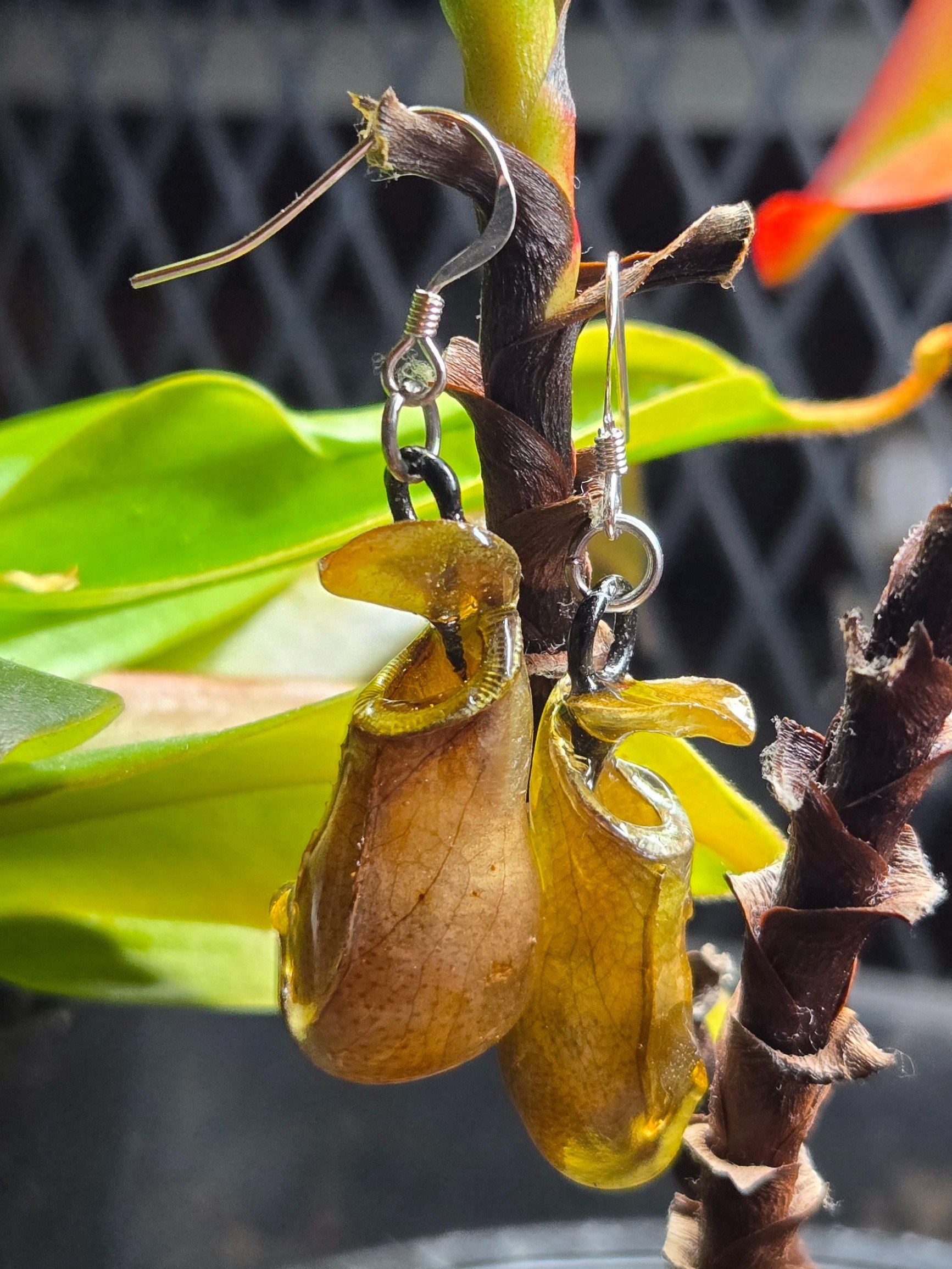 Pitcher Plant Earrings product image (1)