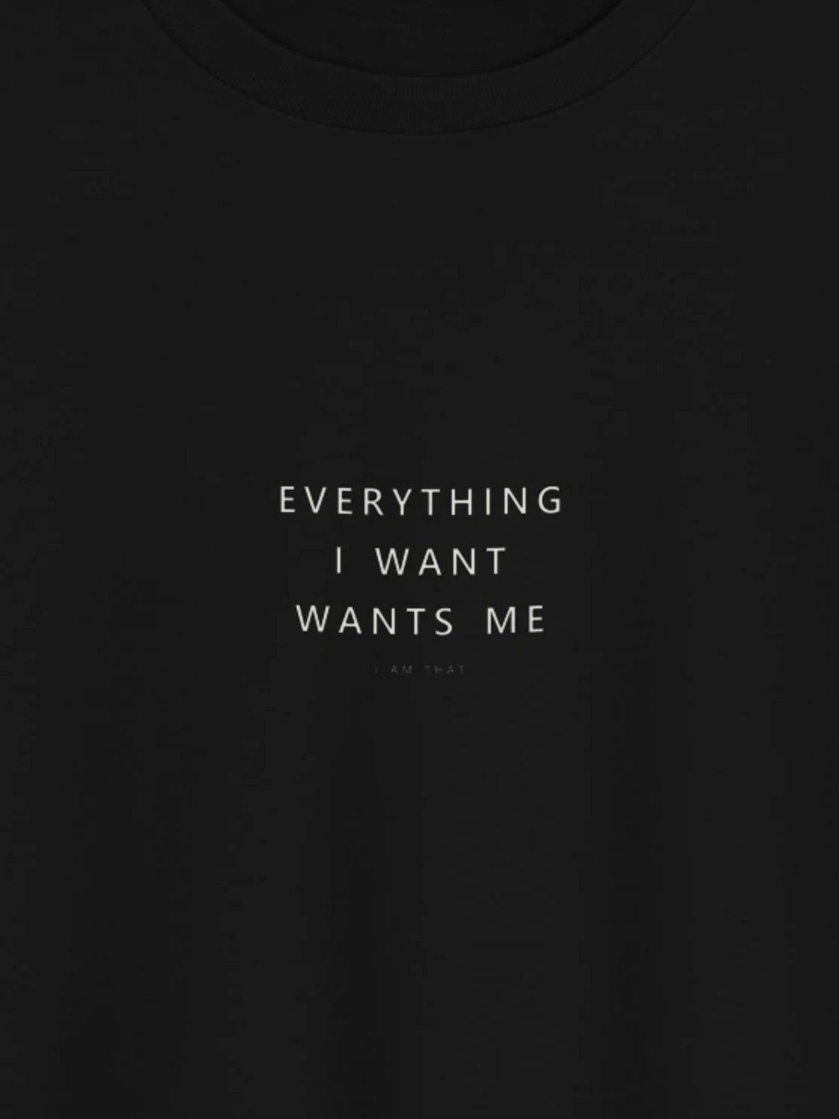 Everything I Want Wants Me Tee — Midnight product image (2)