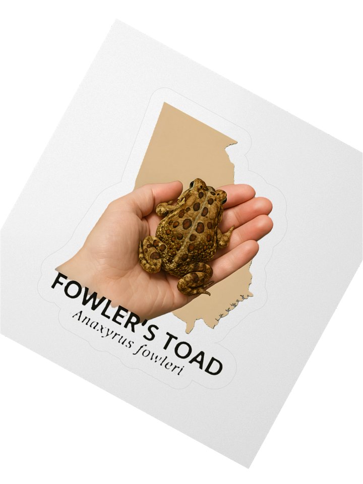 Fowler's Toad Kiss Cut Stickers product image (6)