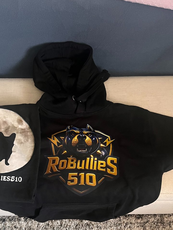 NEW BULLIES HOODIES product image (2)