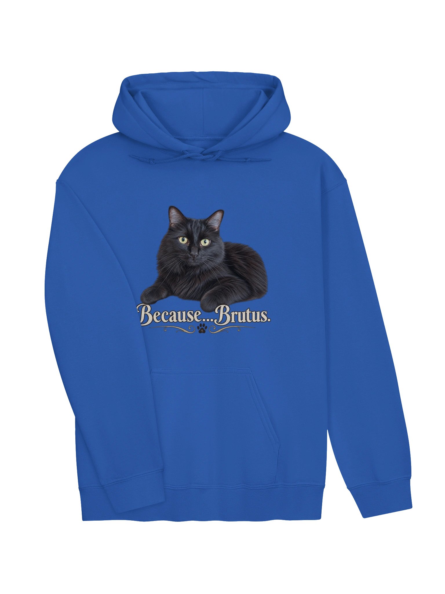 Because...Brutus Classic Hoodie product image (19)