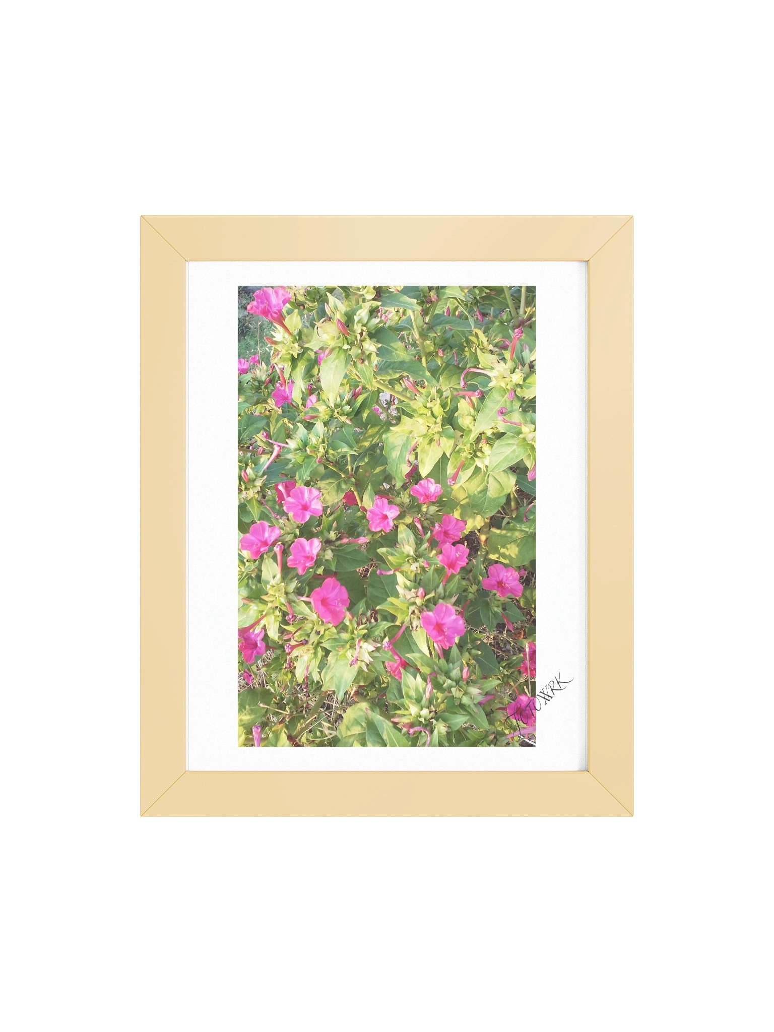Megi - Fine Art Botanical Matte Poster product image (5)