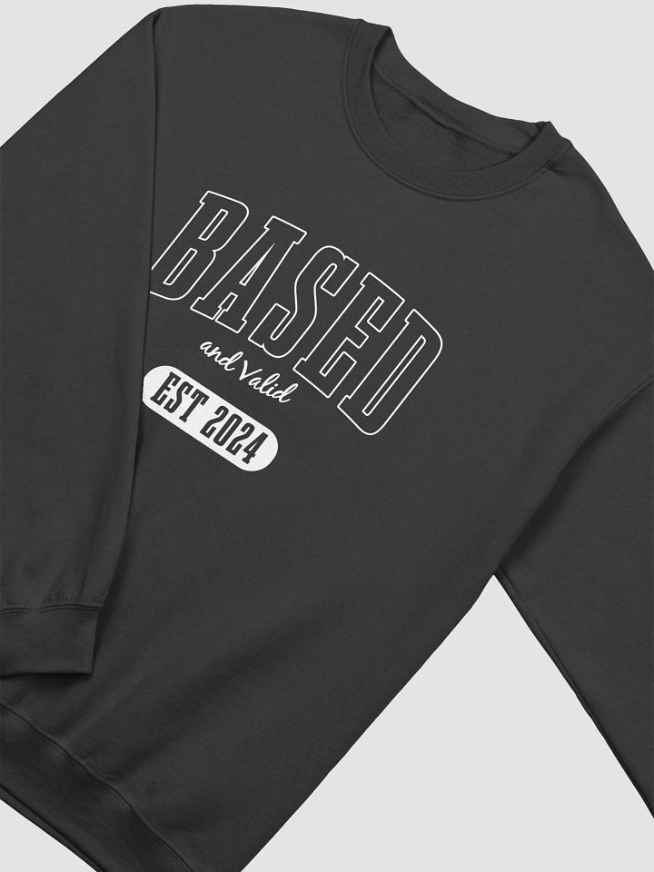Based and Valid Sweater - Black product image (2)