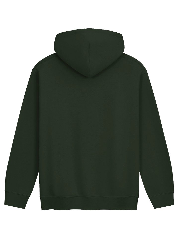 OG Ride the Turtle - Unisex Classic Hoodie product image (2)