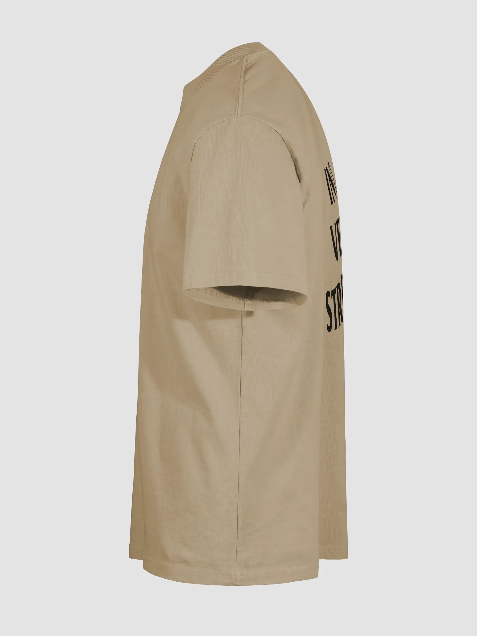 Introverted Streamer Club Oversized Tee product image (27)