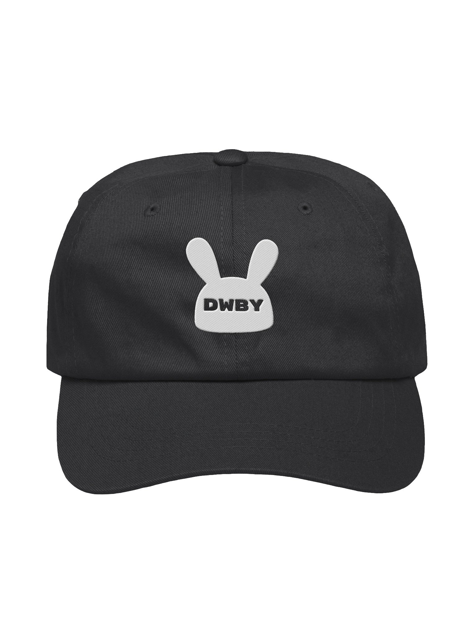 DWBY Dad Hat product image (1)