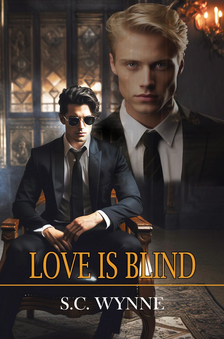 Love is Blind: MM Romance product image (1)