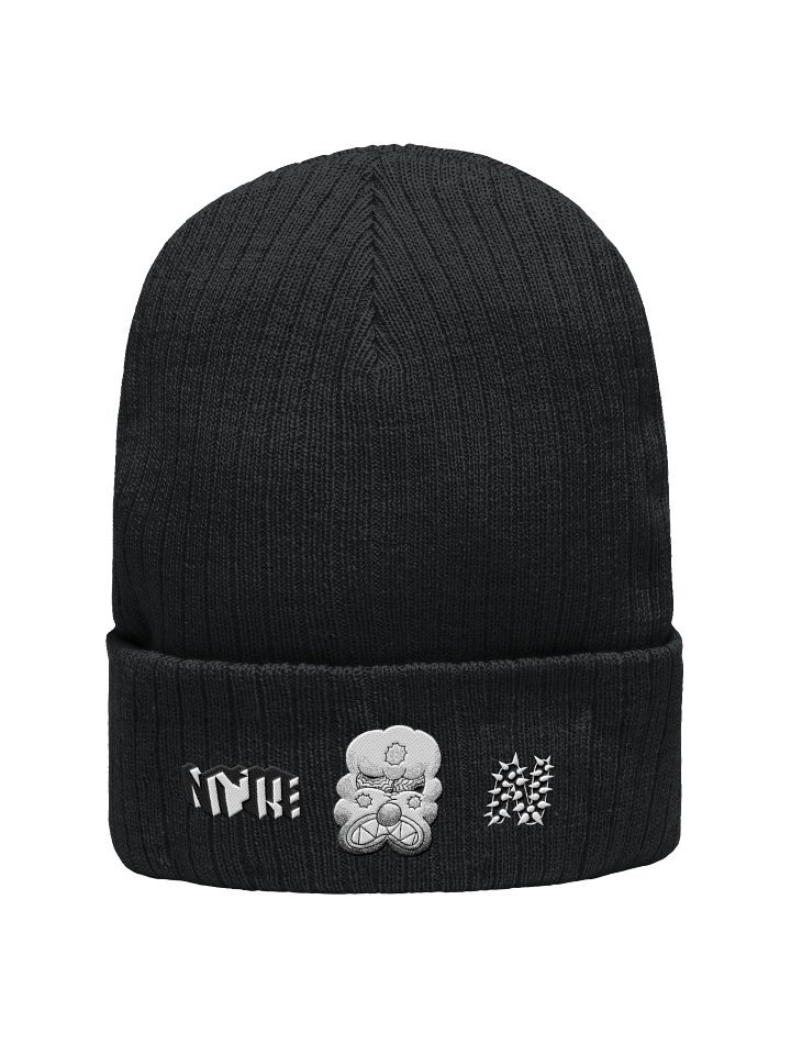 Black Bean Ribbed Beanie product image (1)