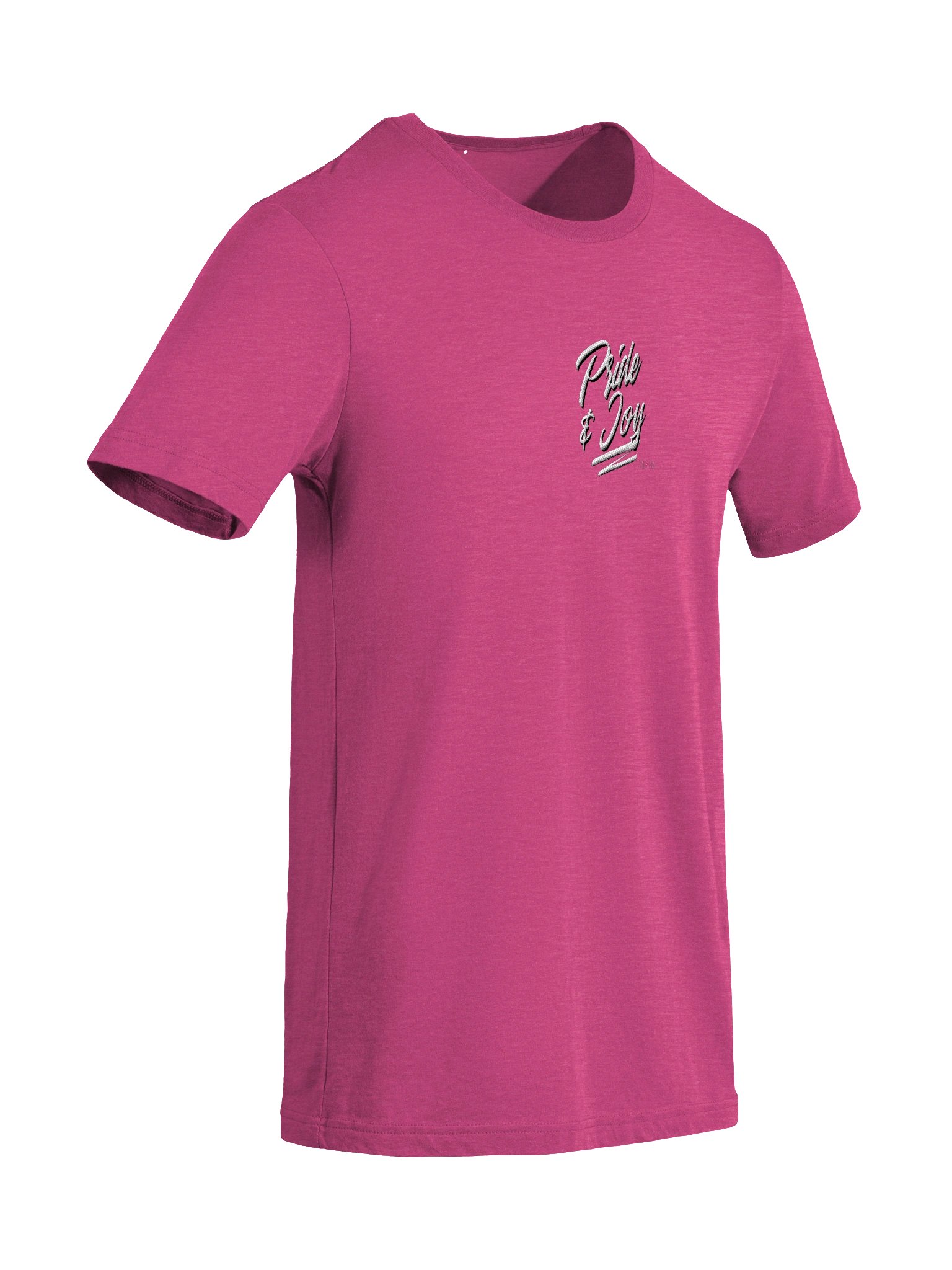 Embroidered Pride & Joy Since 1969 Tee product image (40)