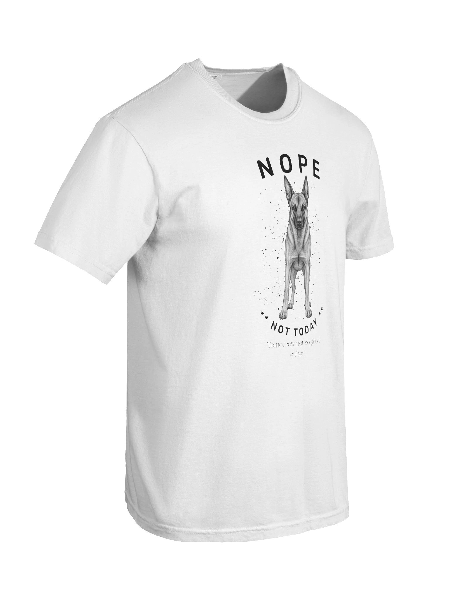 Nope Not Today product image (38)
