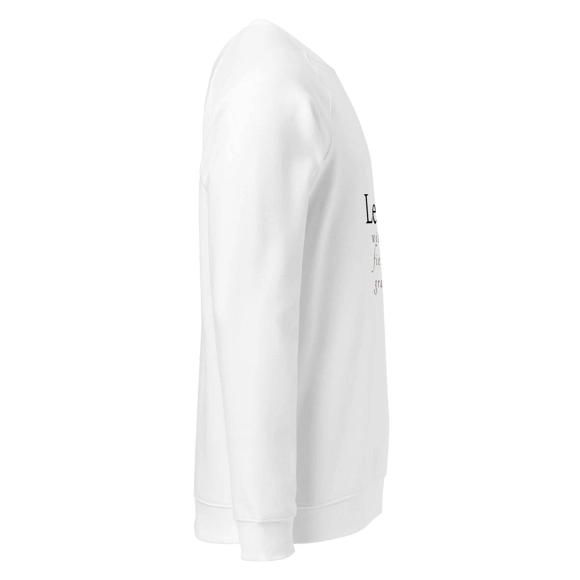 Women's Organic Raglan Sweatshirt ORFB0128 product image (3)