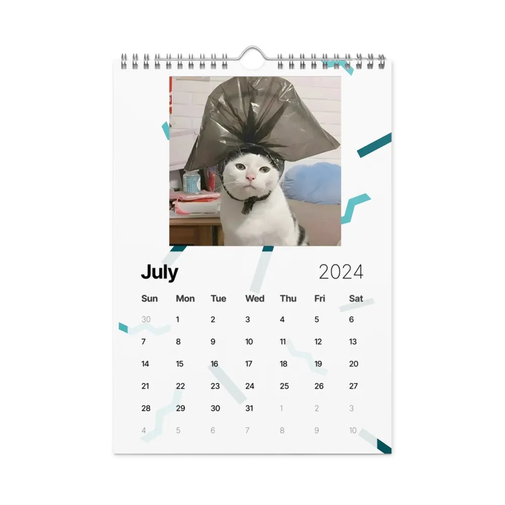 Wall Calendar (2024): Meme Cats product image (10)