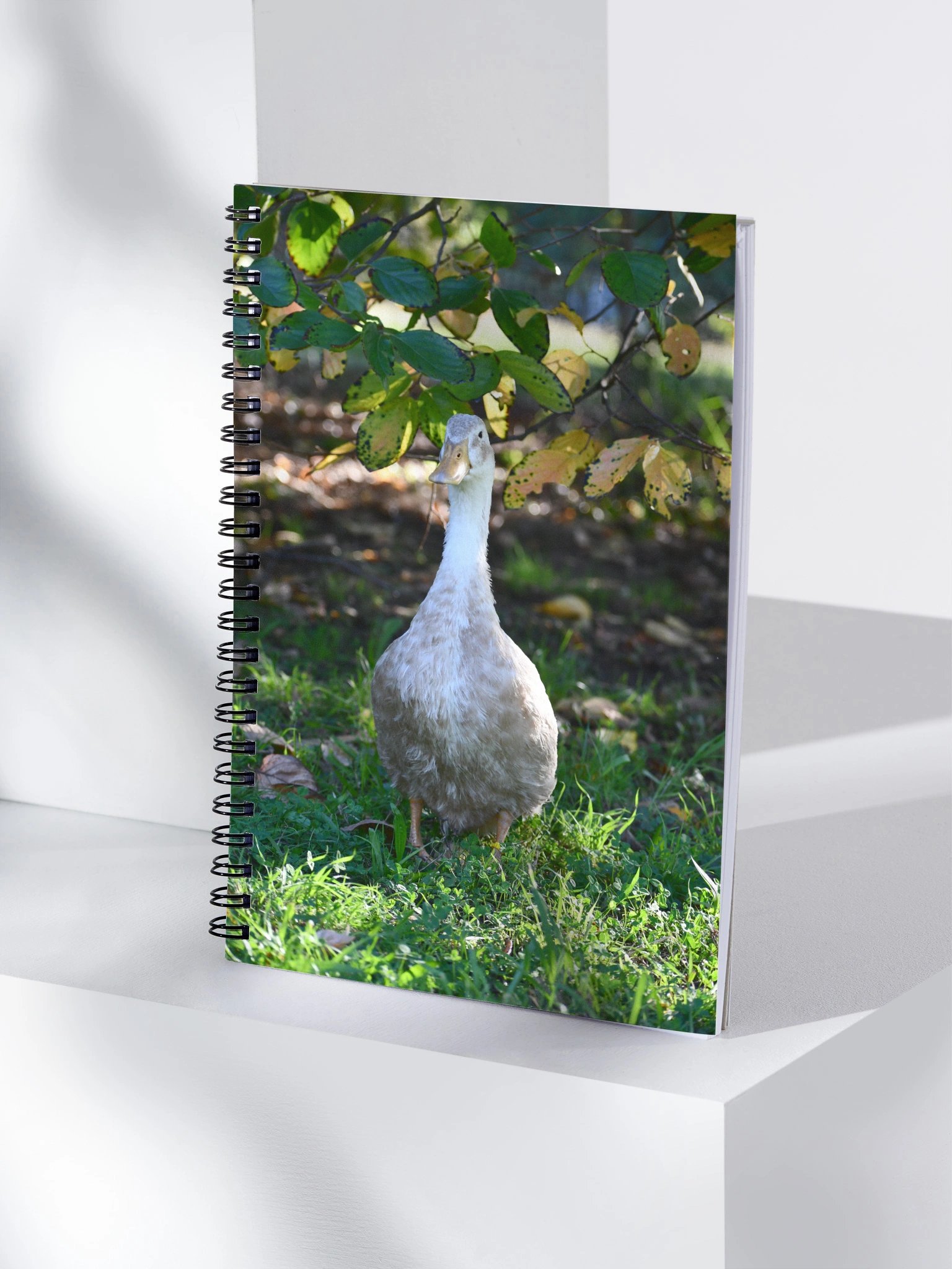 Quatie's Quackers Notebook product image (4)