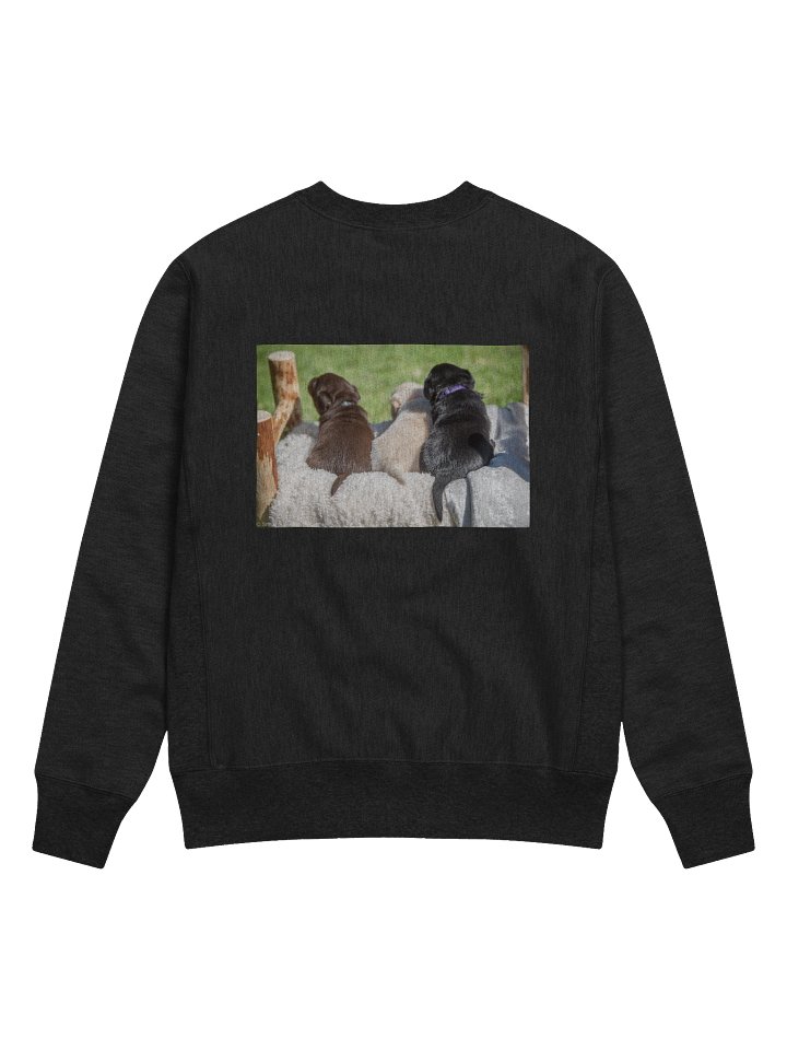 Sweatshirt with puppies on the back product image (2)