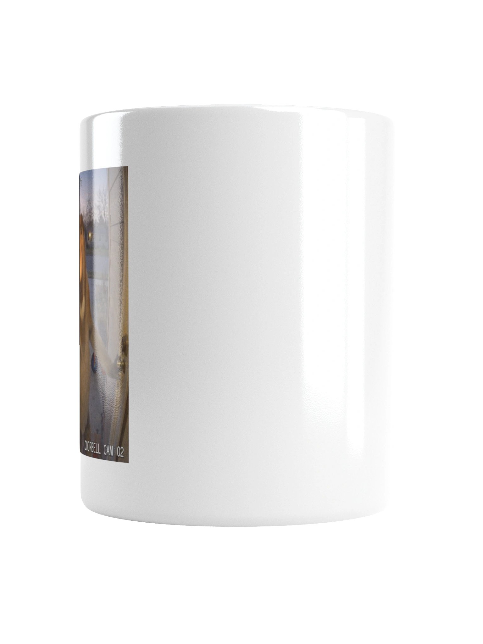 Anyone Home? product image (6)
