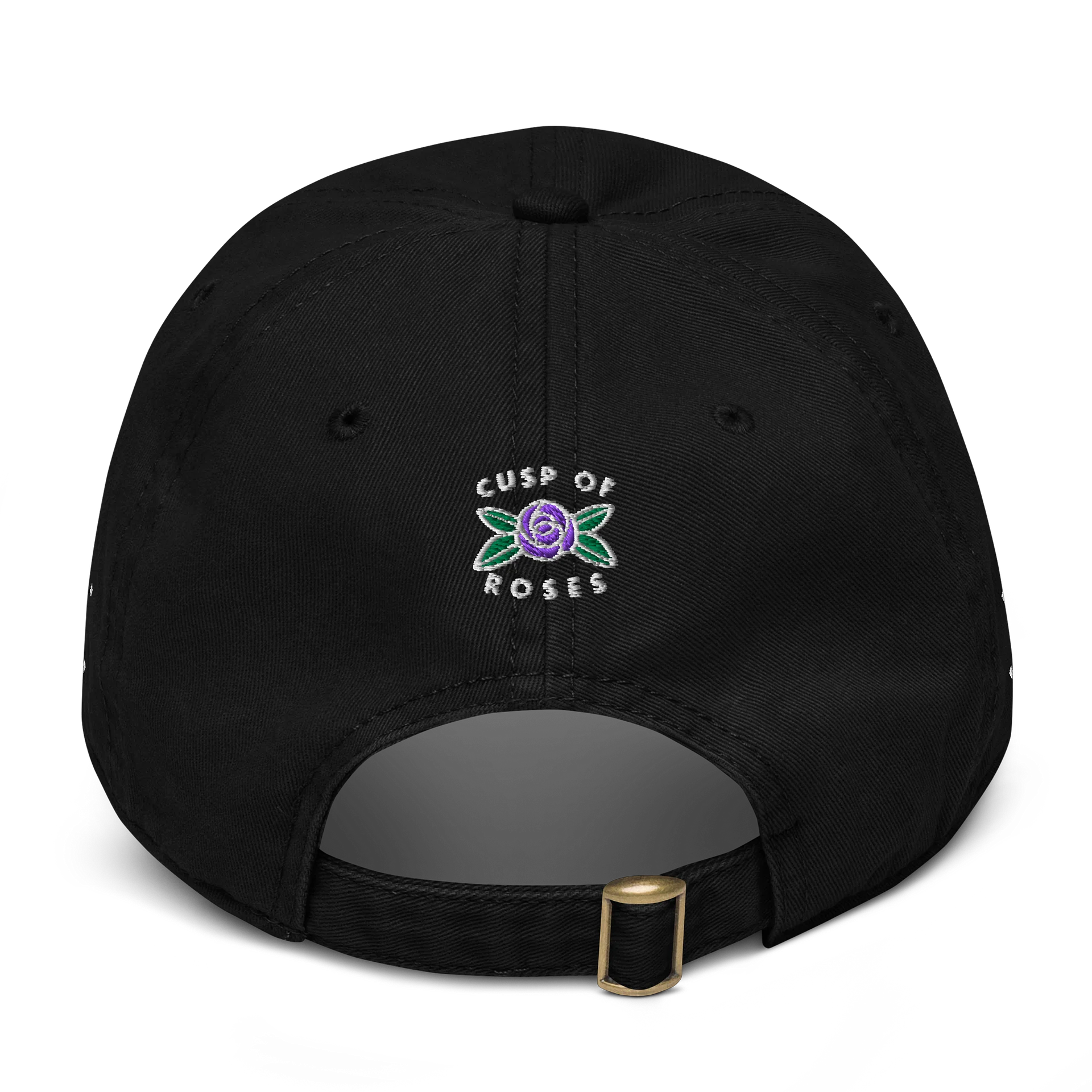 pisces aries cusp dad hat (white) product image (2)