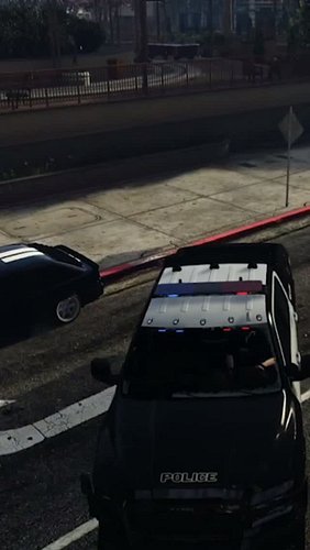 The Commissioners Daughter attempts to rehabilitate dirty criminals Part 1 #gtavrp #redlinerp #gtaroleplay #gta6 #funny