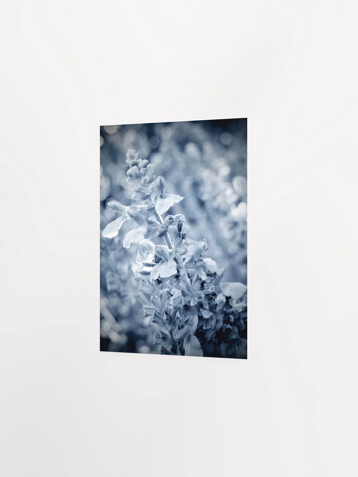 Wisteria 6 product image (23)