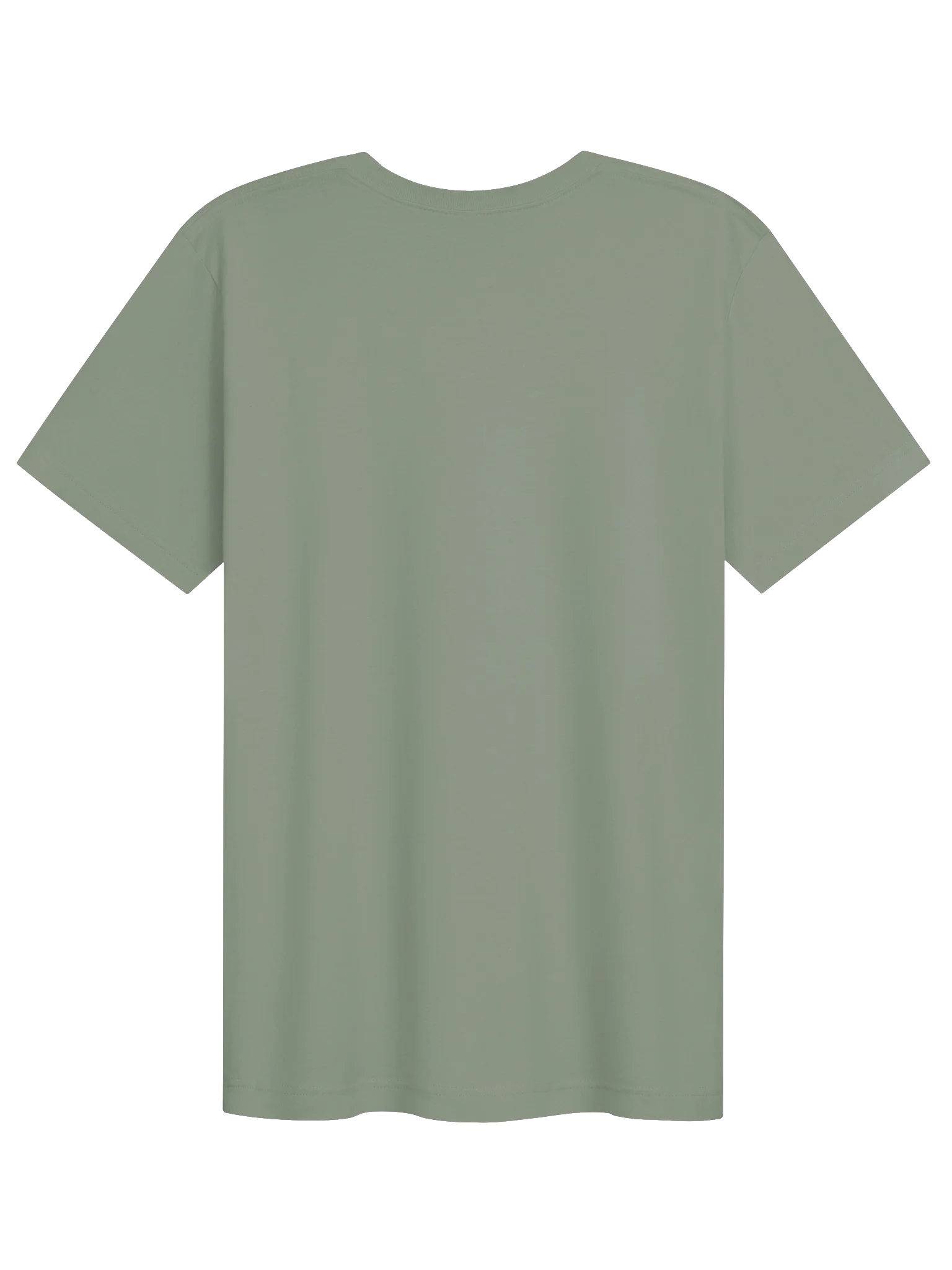 Highly Favored. Dangerously literate. Green tee. product image (2)